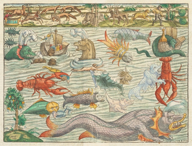 Sebastian Münster’s Sea Monster Chart