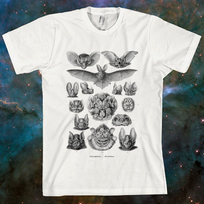 Haeckel Bats T-Shirt