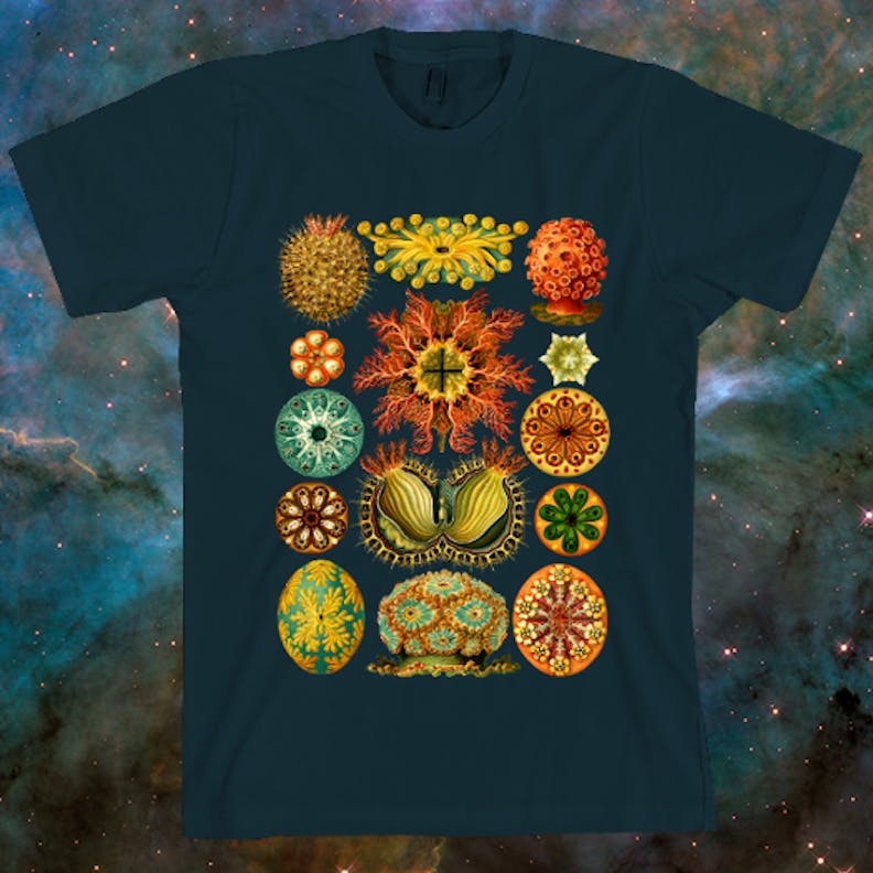 Haeckel Ascidiacea T-Shirt