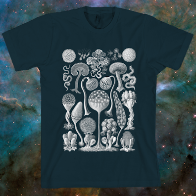 Haeckel Mycetoza T-Shirt